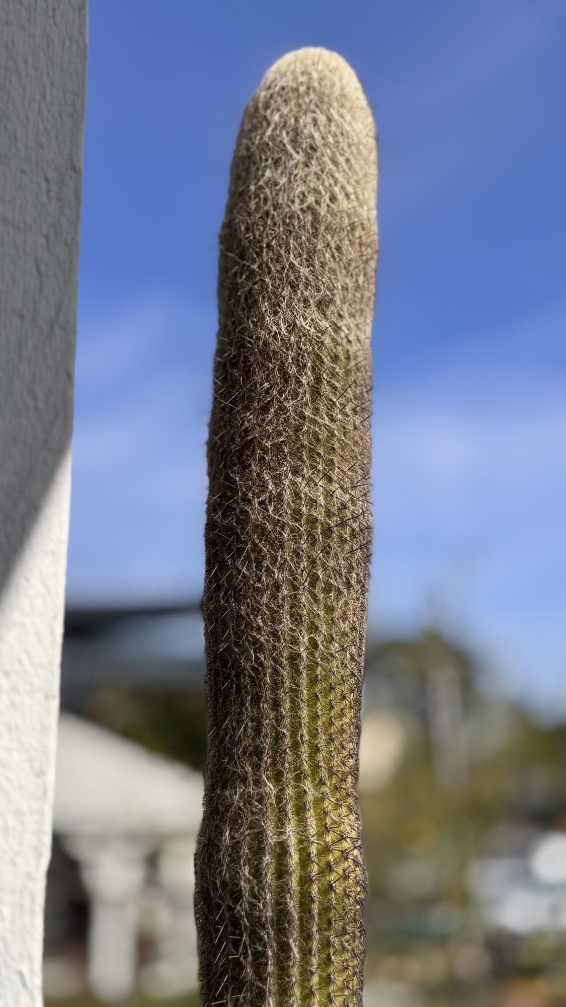 IMG_6504.jpeg