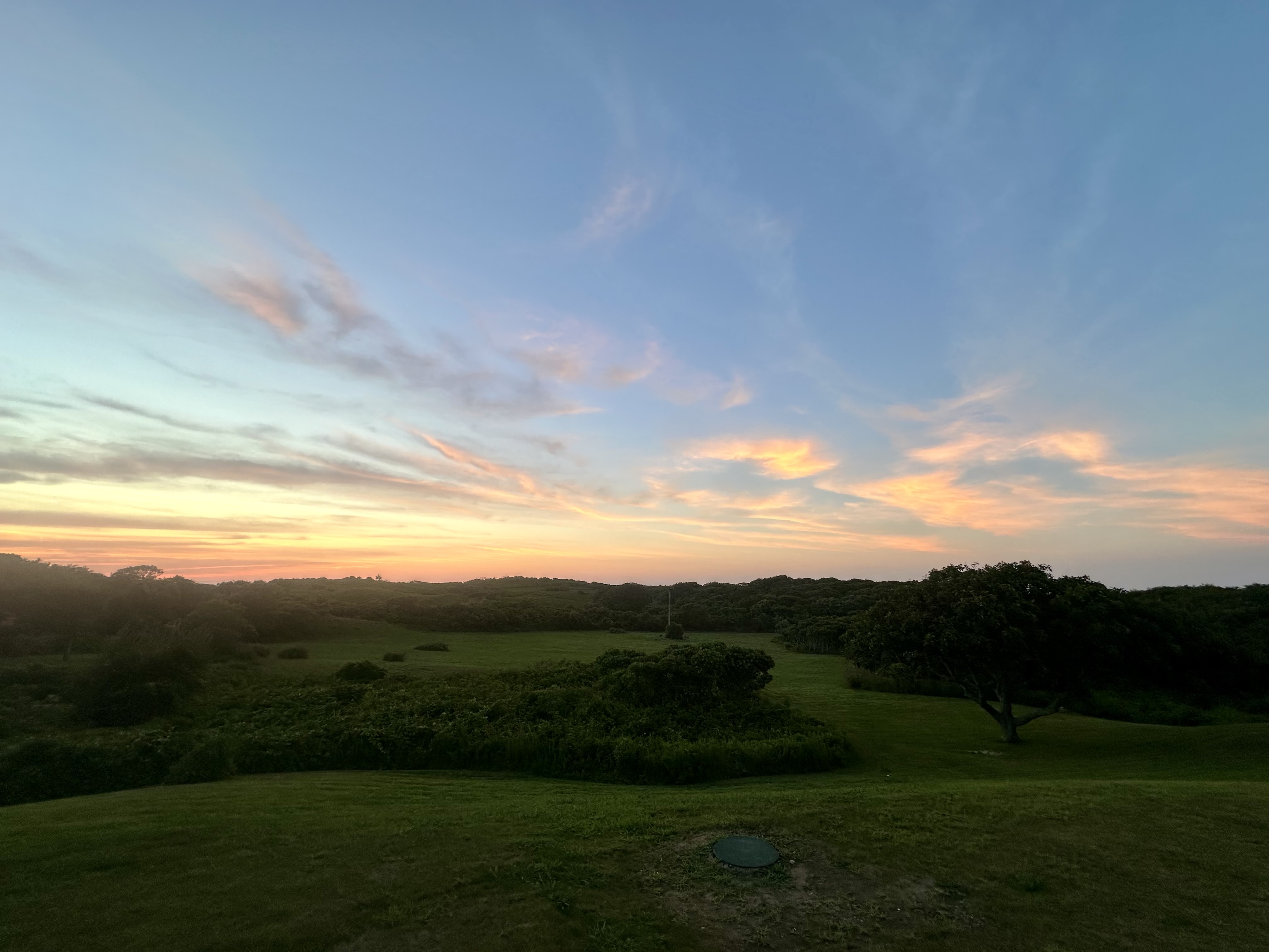 IMG_6548.jpeg