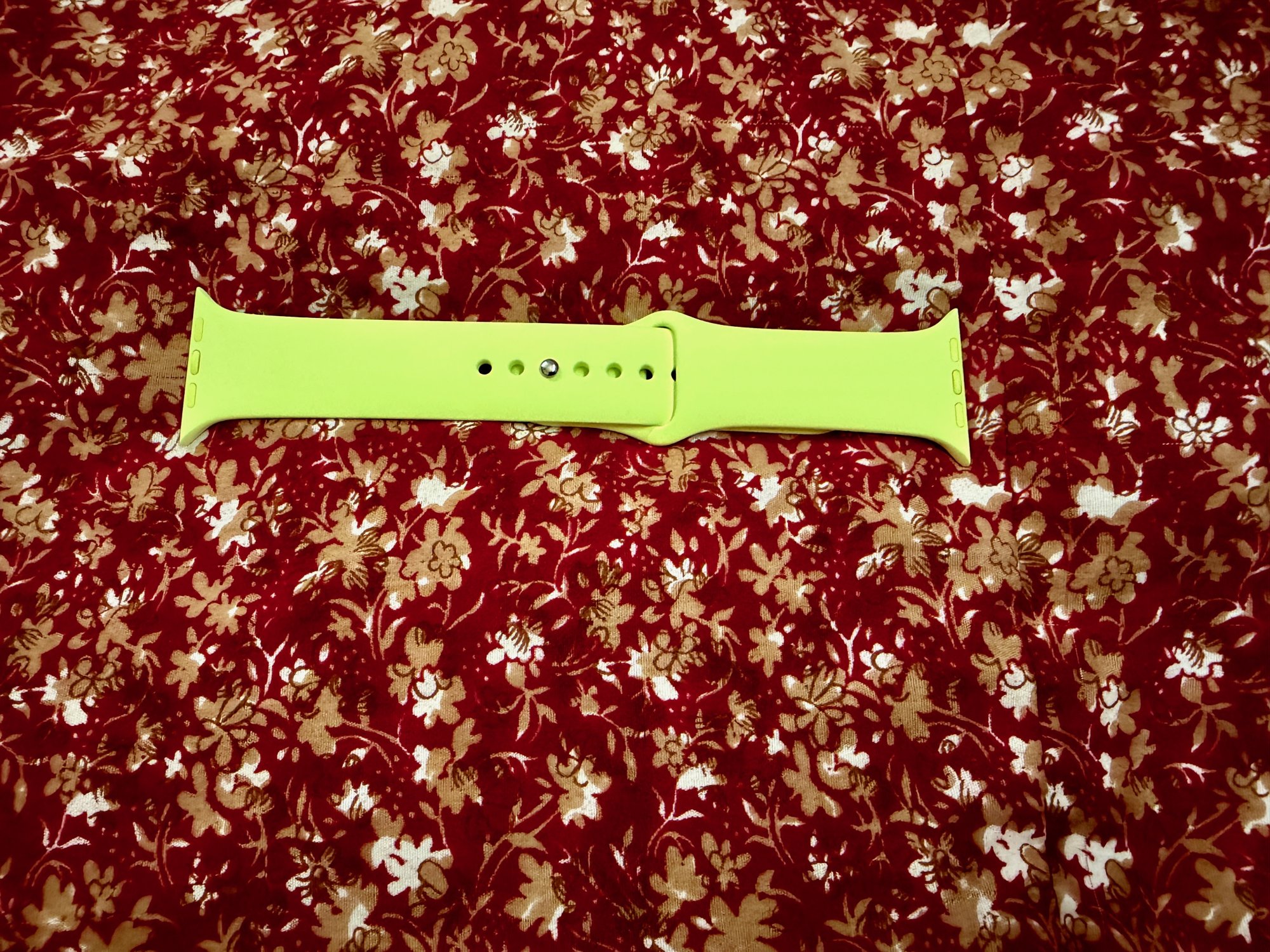 IMG_6552.jpeg
