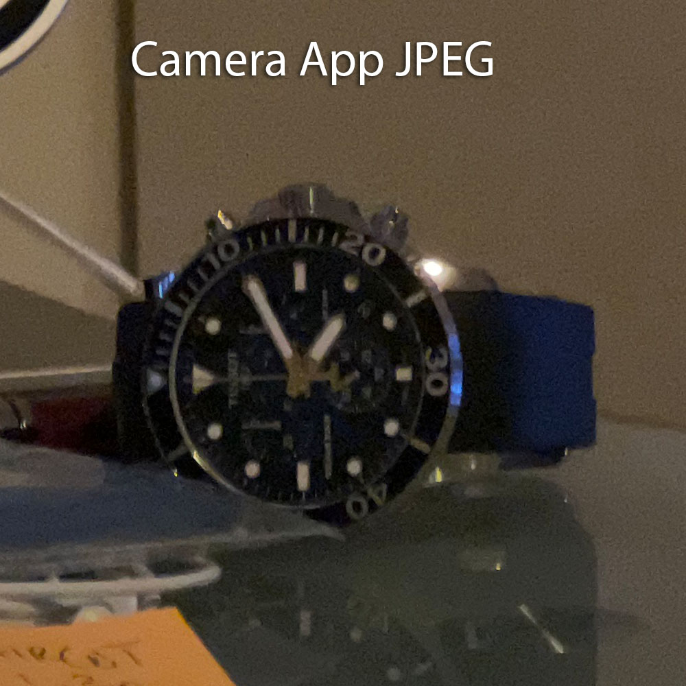 IMG_6581X.JPG