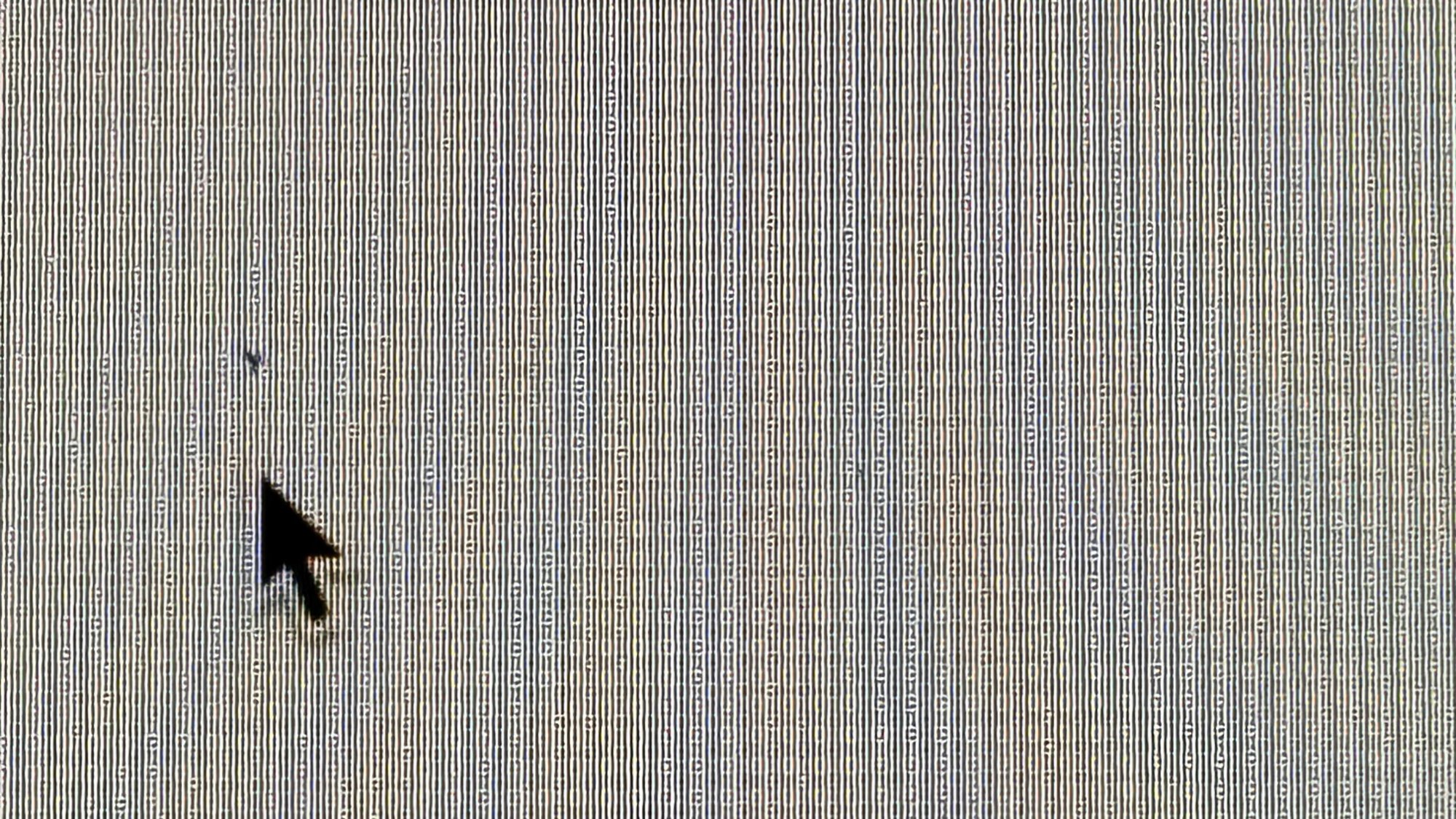 IMG_6765.jpeg