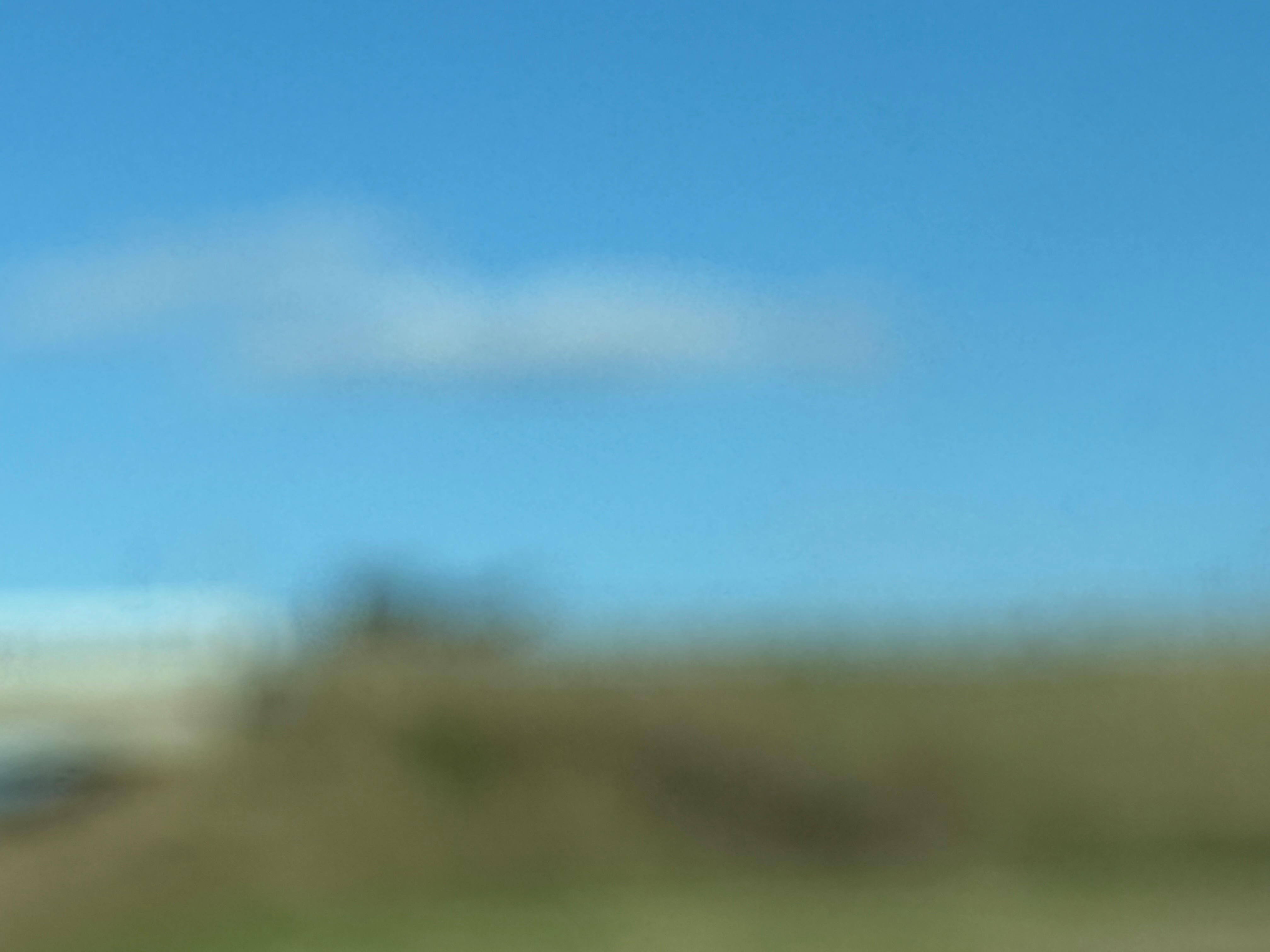 IMG_6810.jpeg