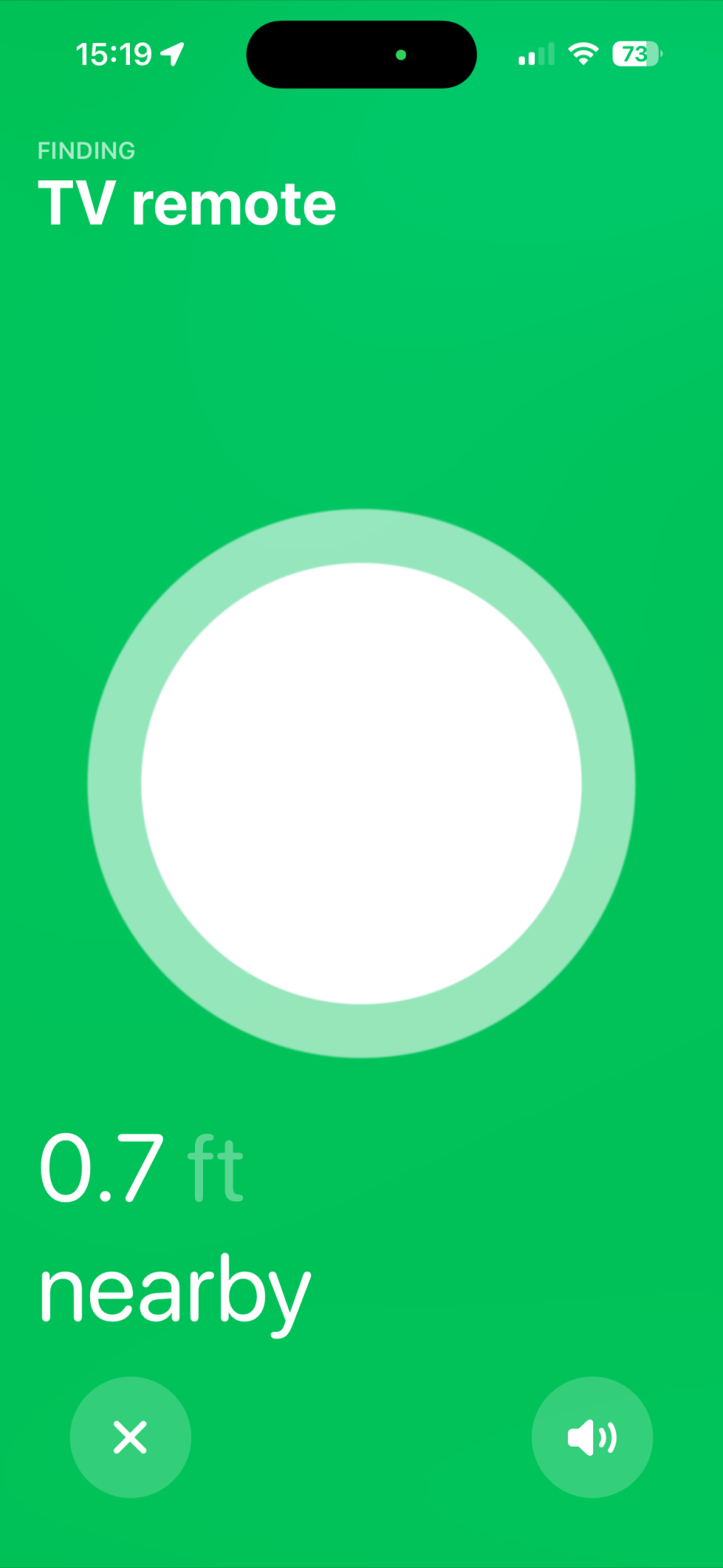 IMG_7447.png