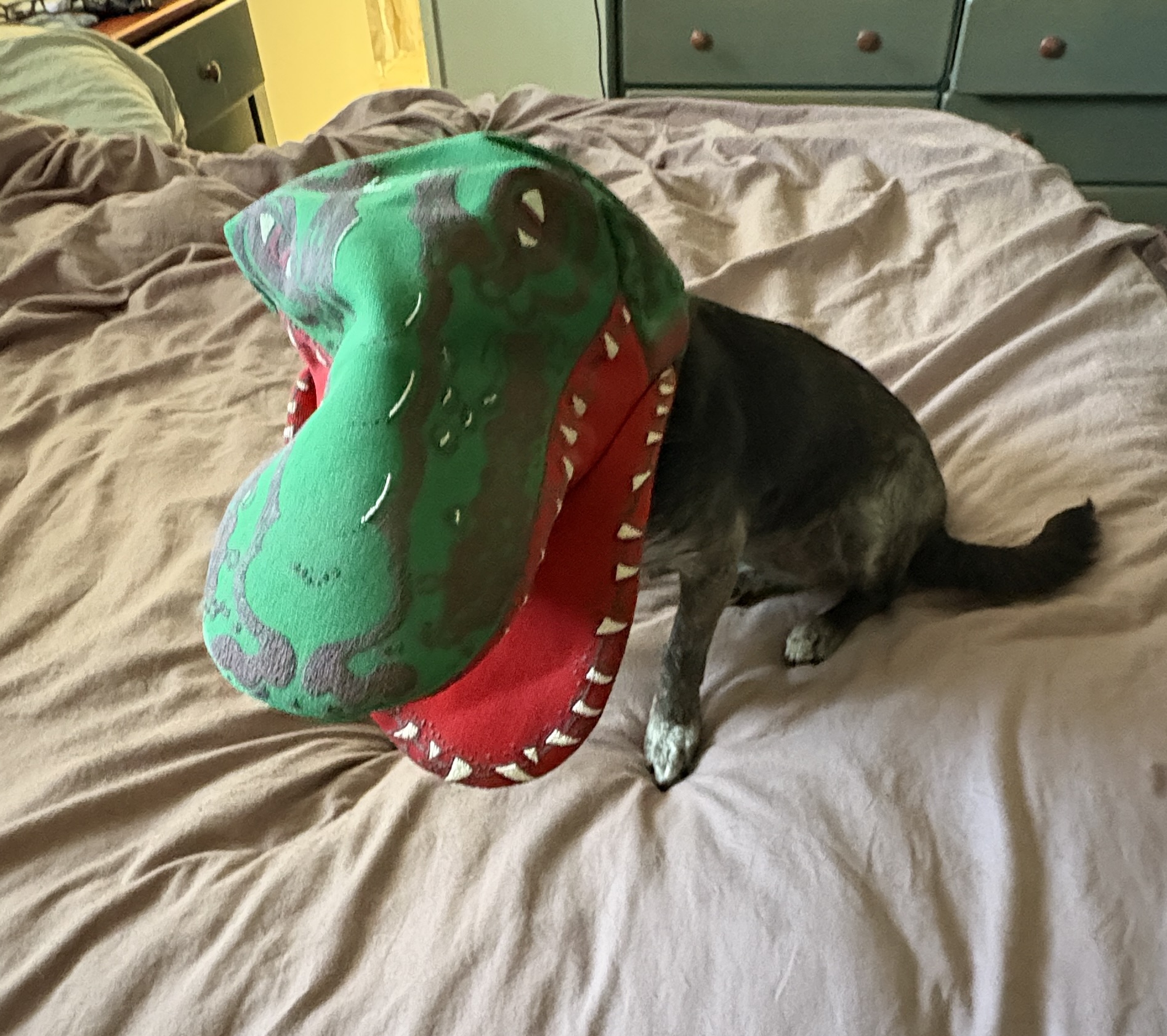 IMG_7720.jpeg