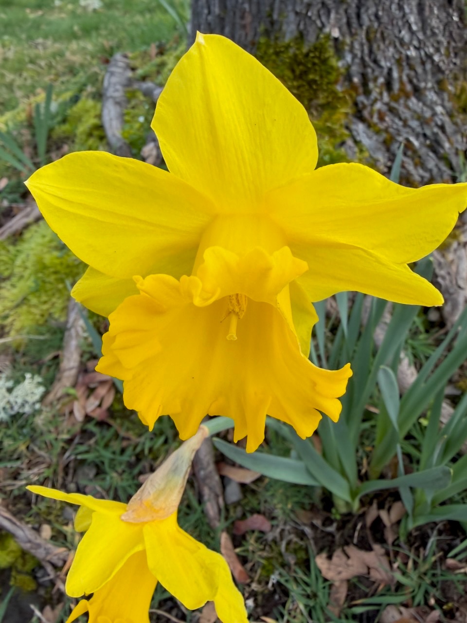 IMG_7852.jpeg