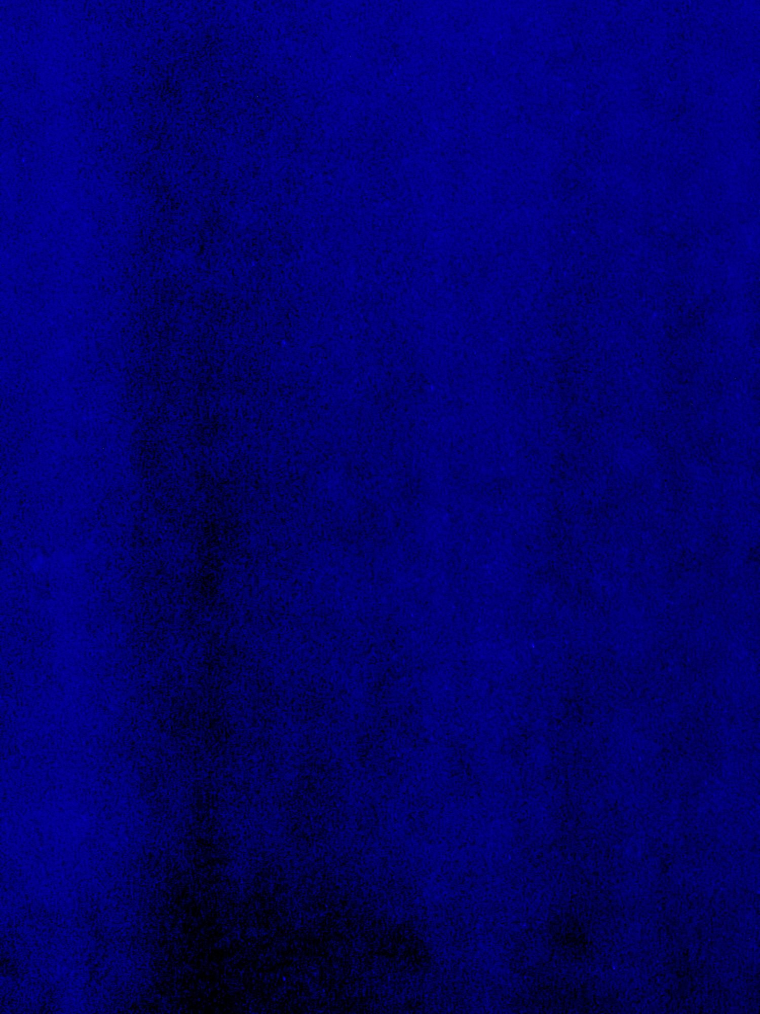 IMG_7917.jpeg