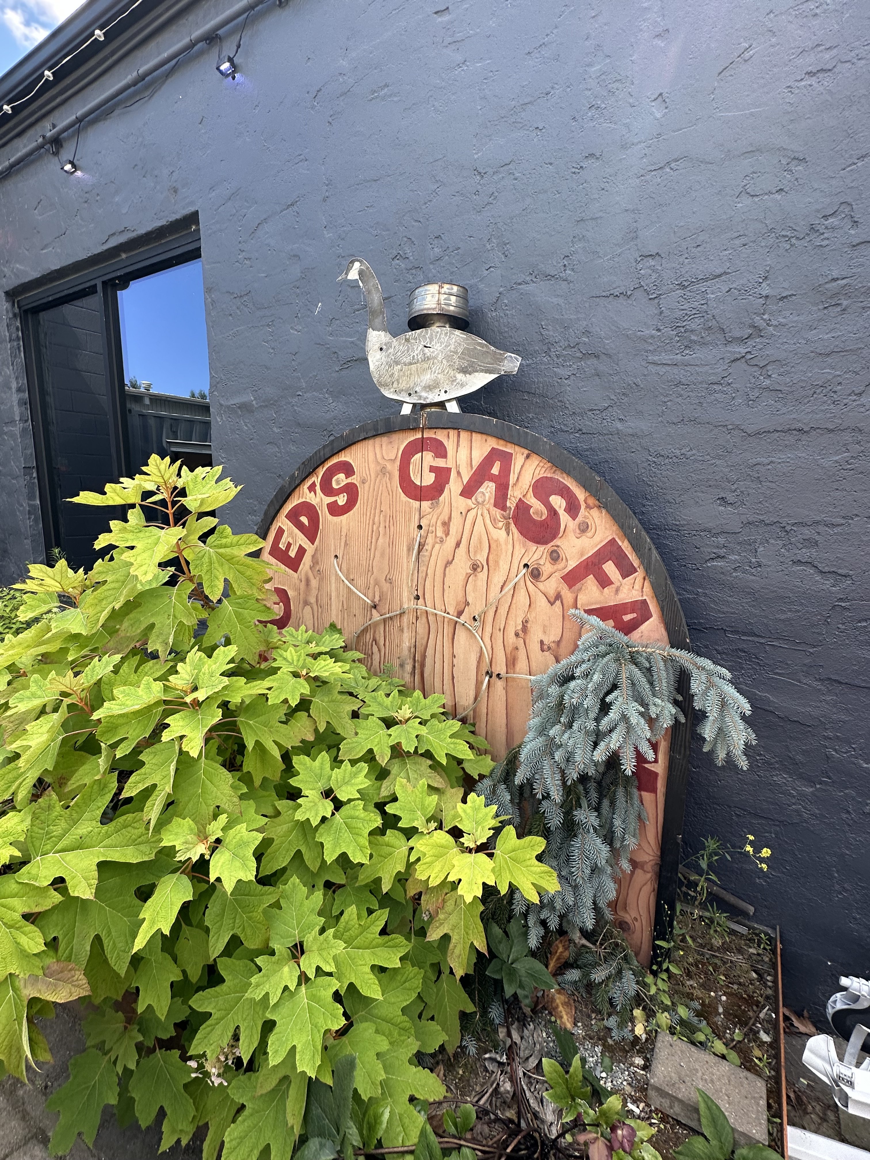 IMG_8116.jpeg