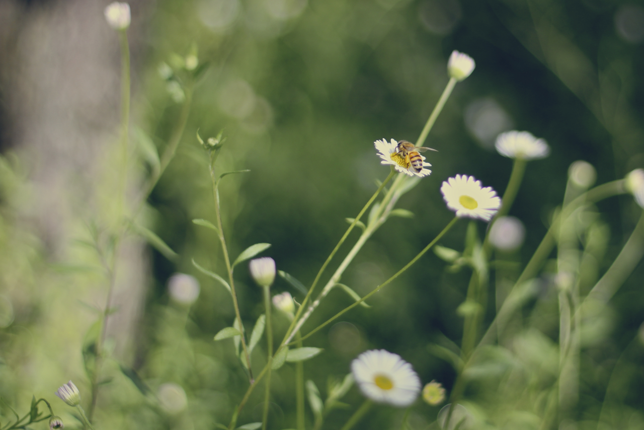 IMG_8125 - Version 3.jpg