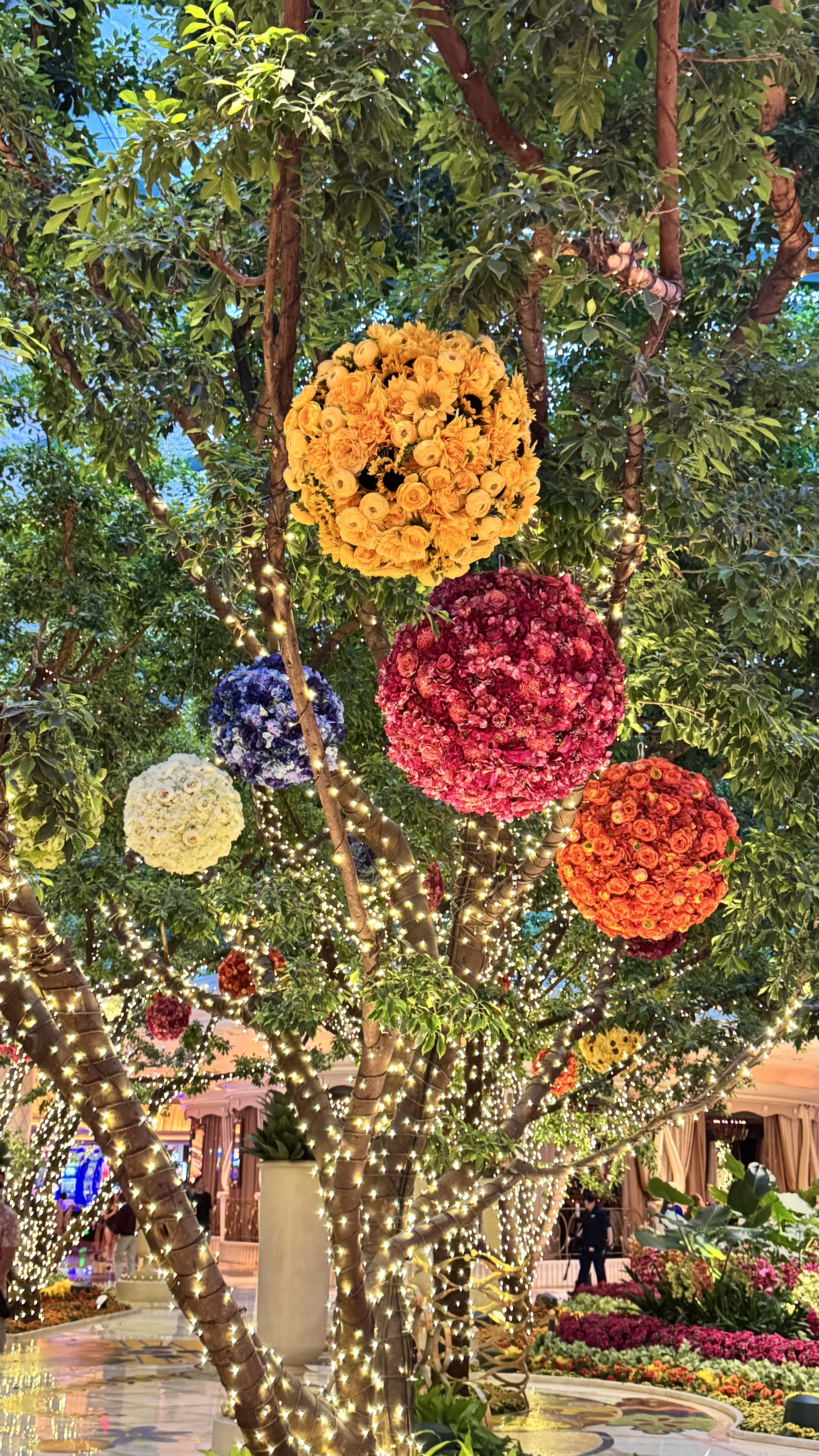 IMG_8137.jpeg