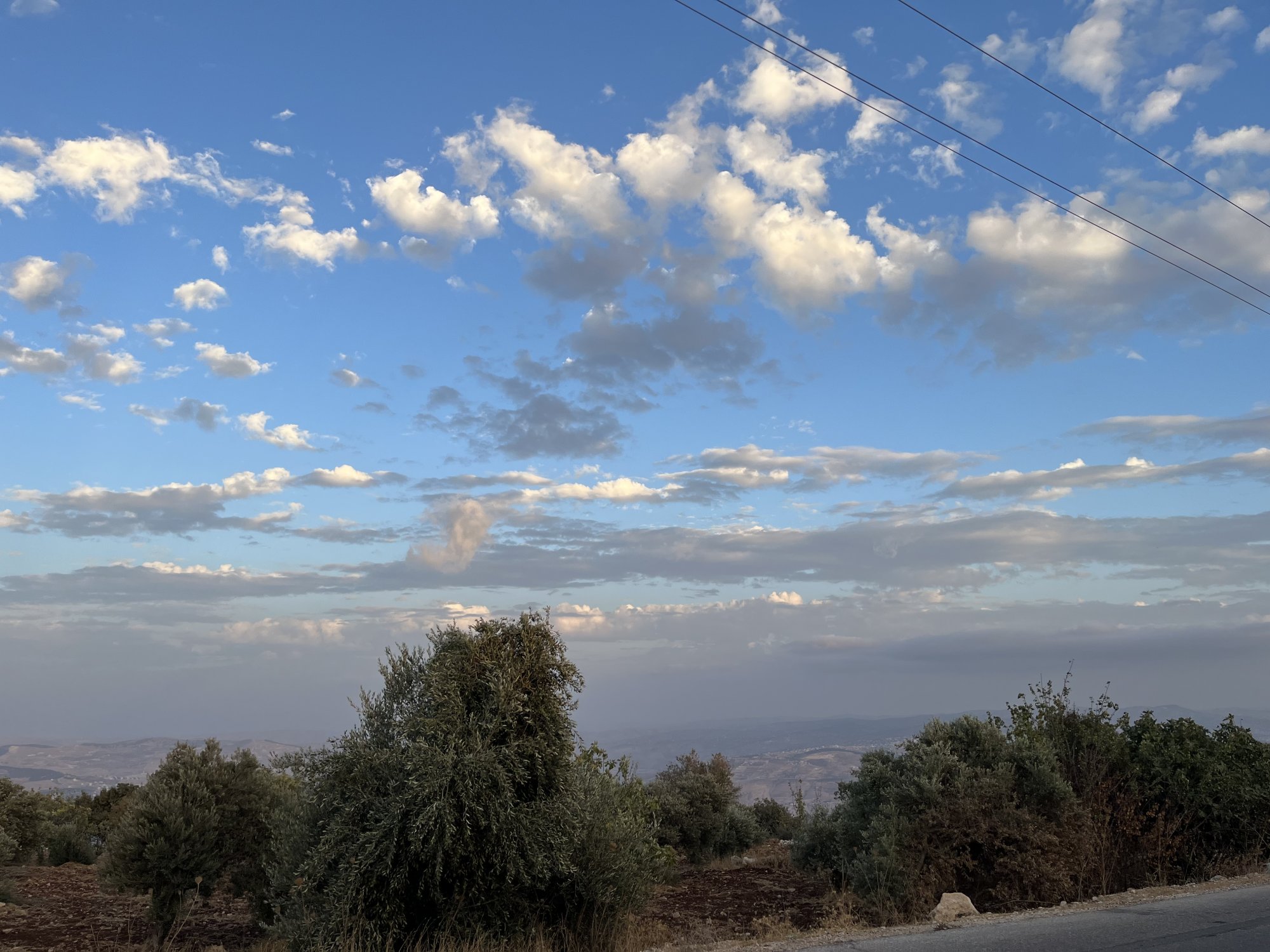 IMG_8157.jpeg