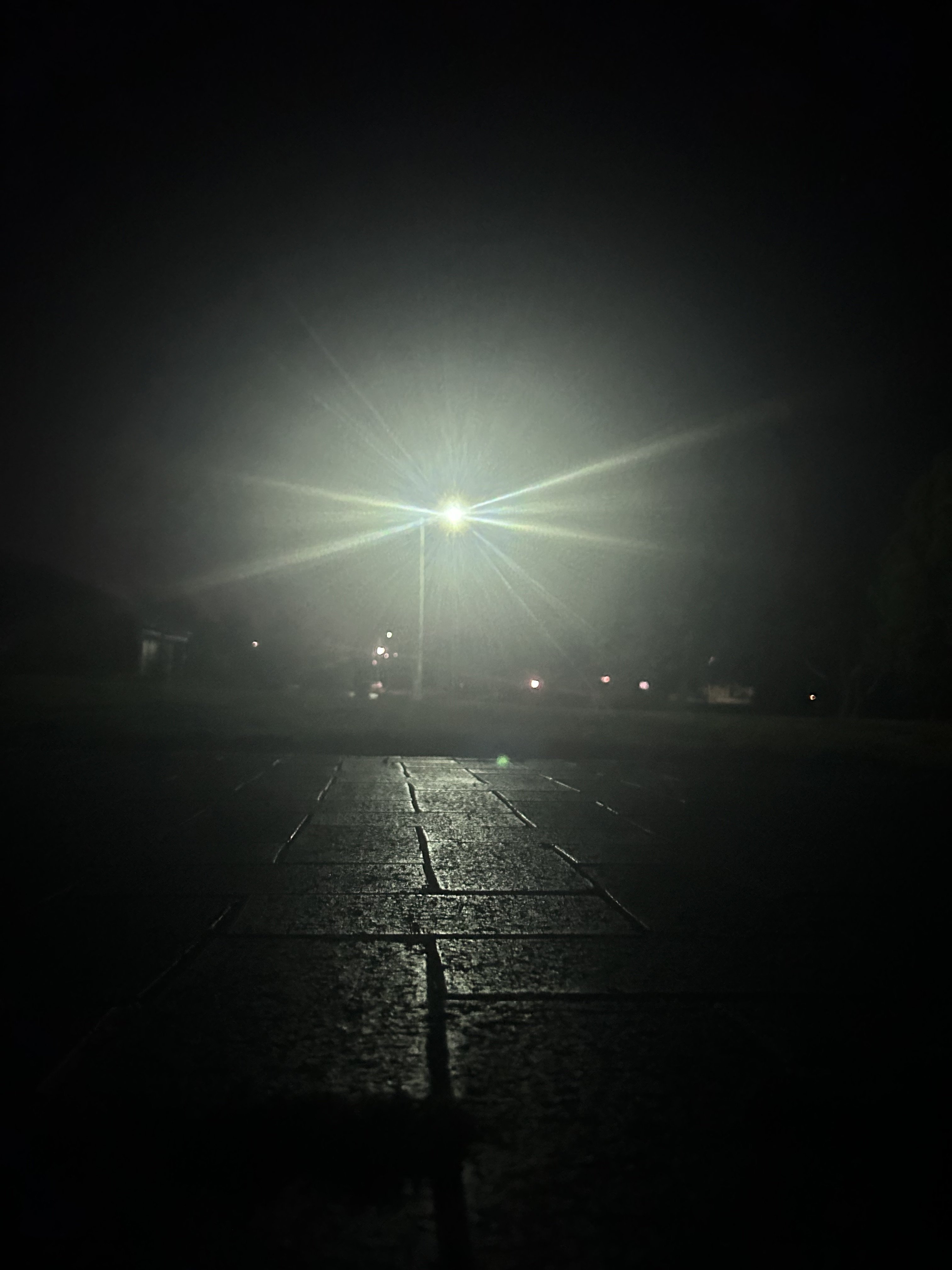 IMG_8286.jpeg