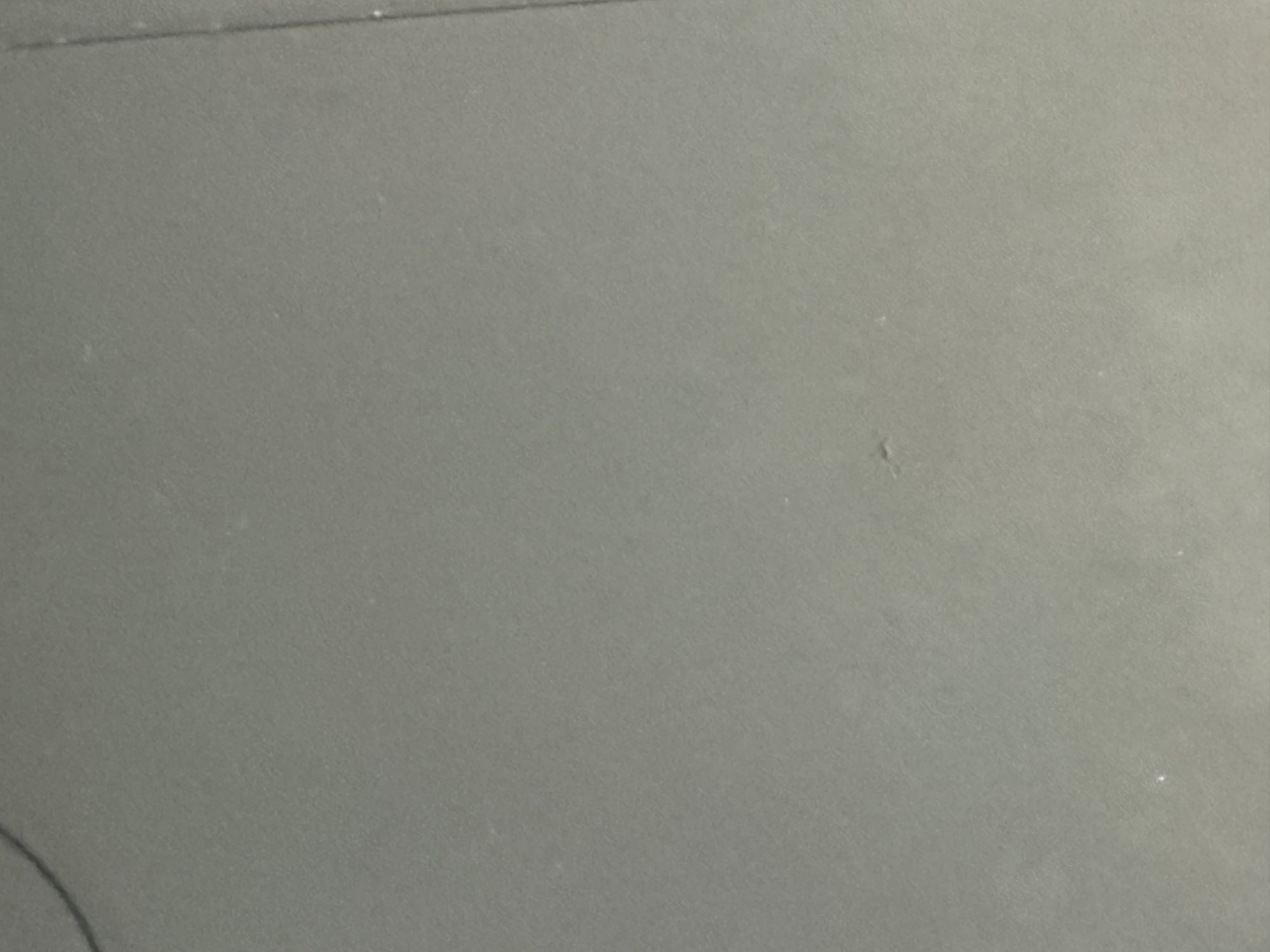 IMG_8535.jpeg