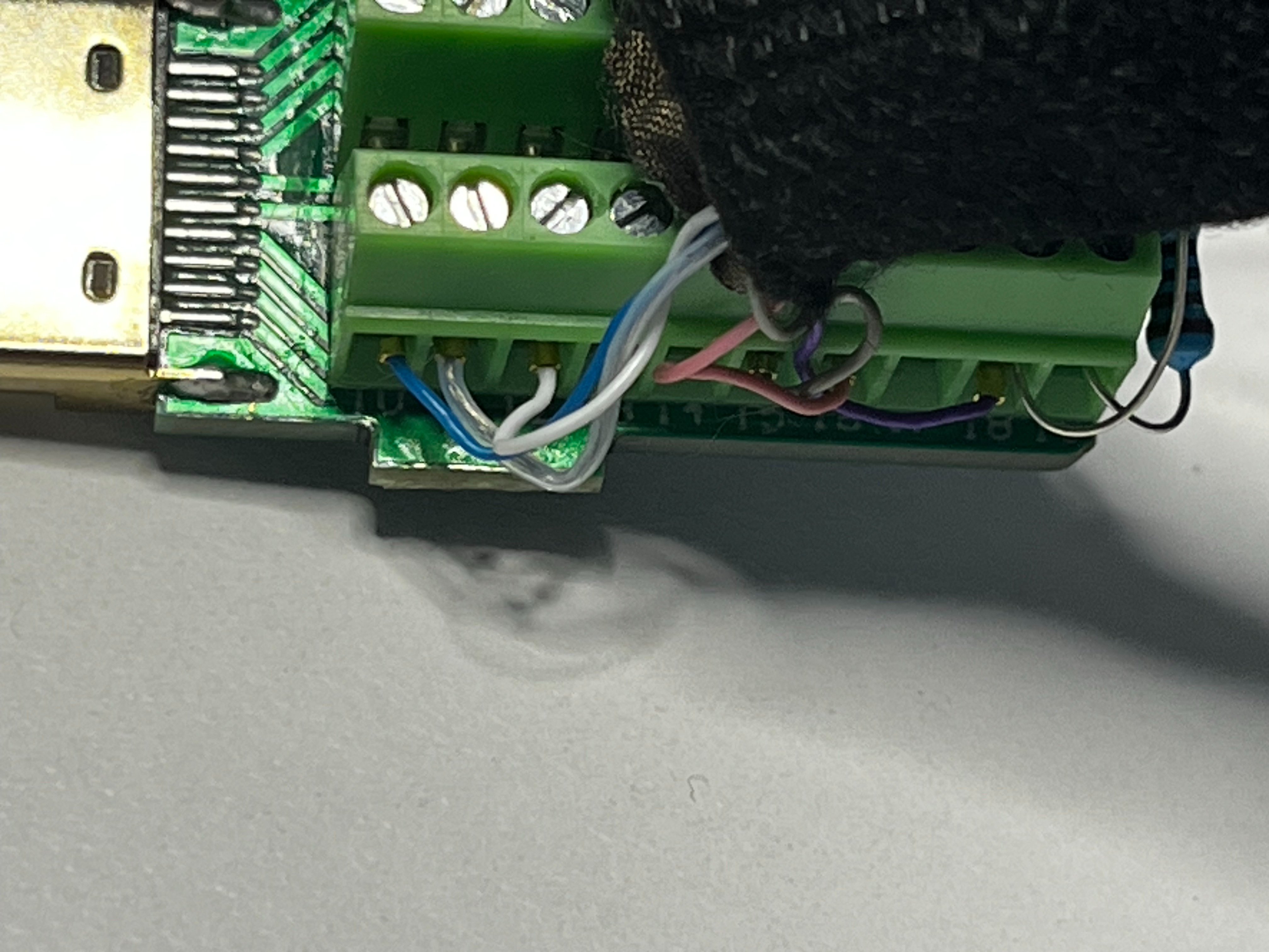 IMG_8566.jpeg
