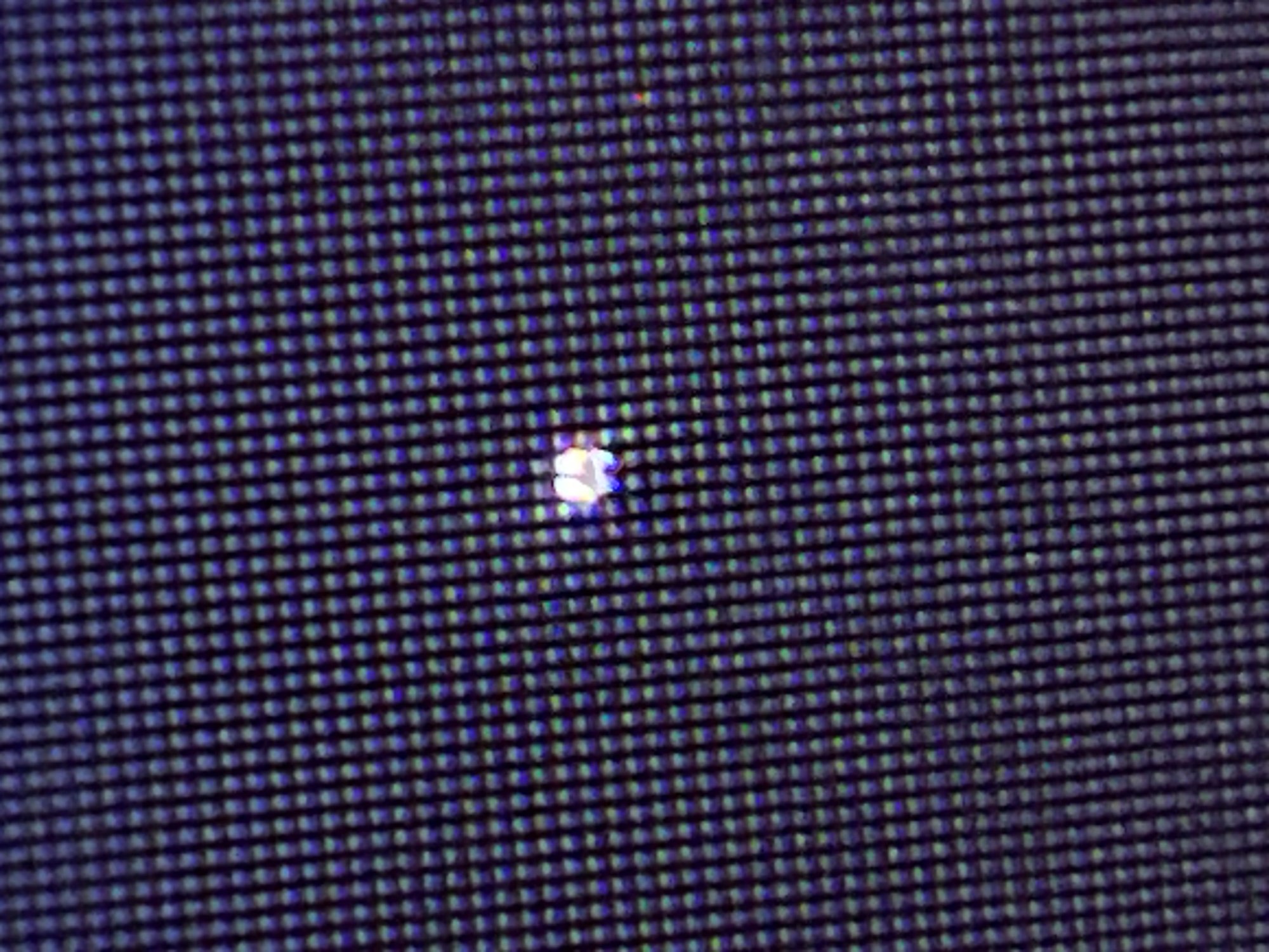 IMG_8664.jpeg