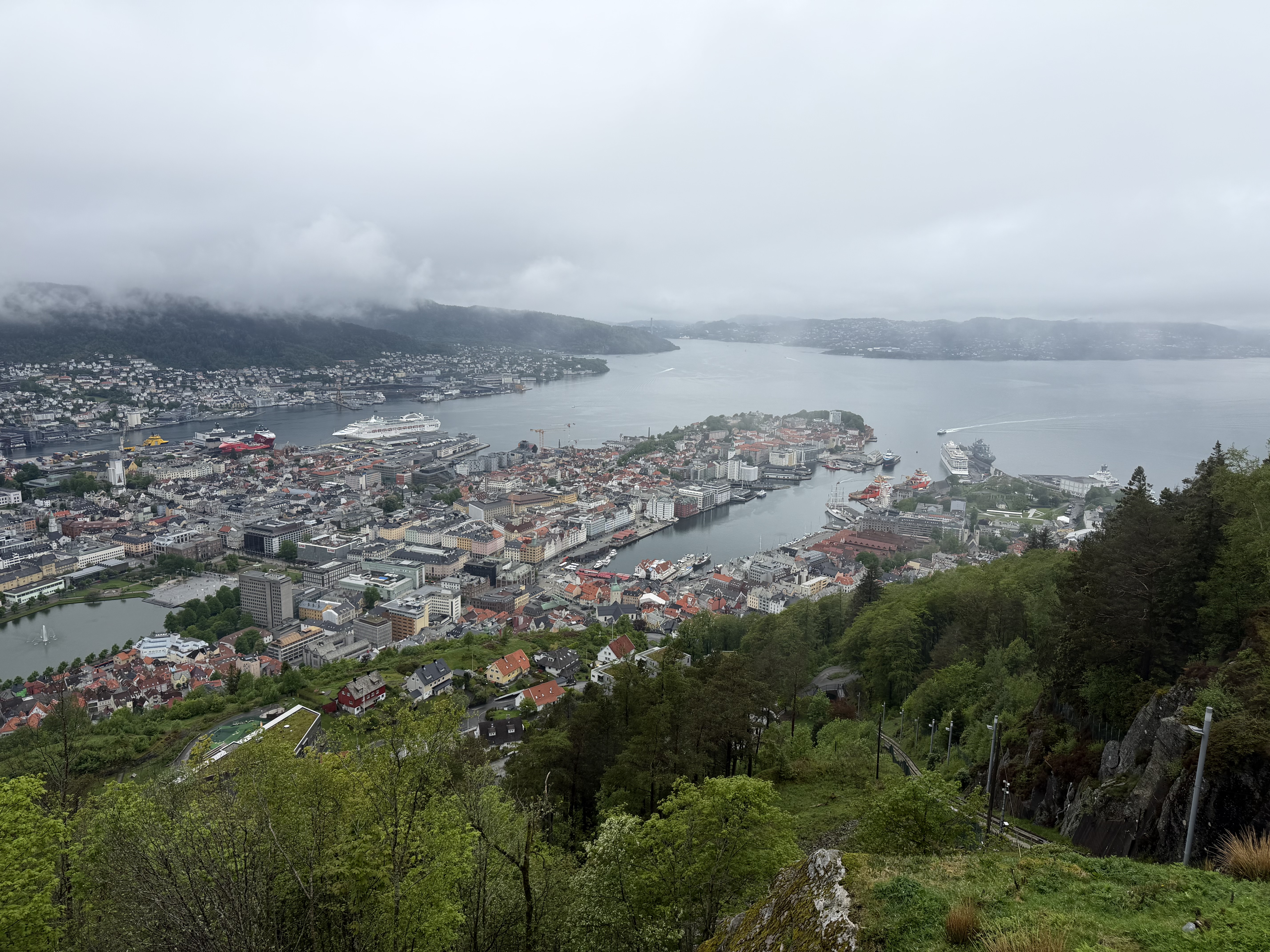 IMG_8932.jpeg