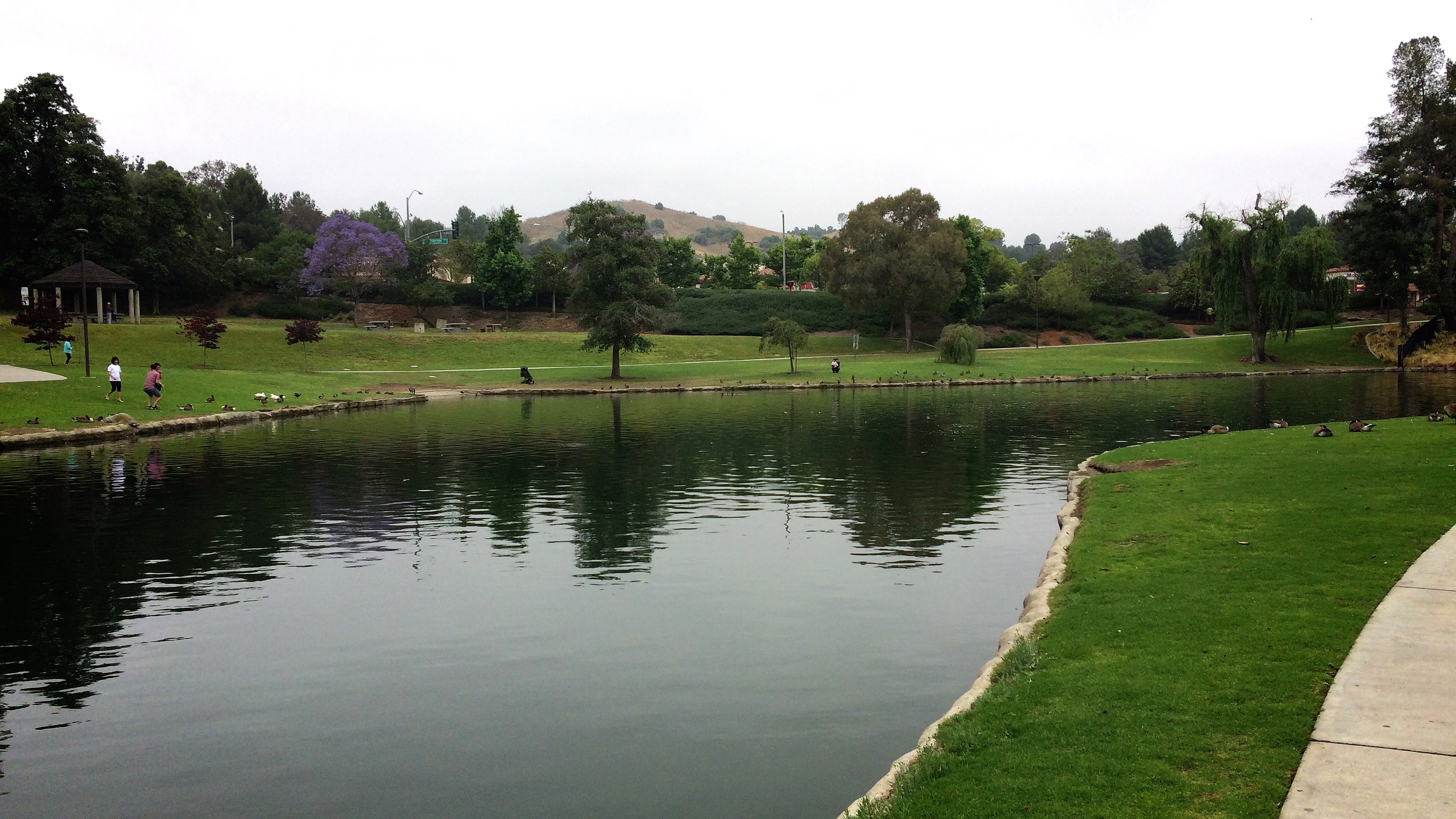 IMG_9158.jpeg