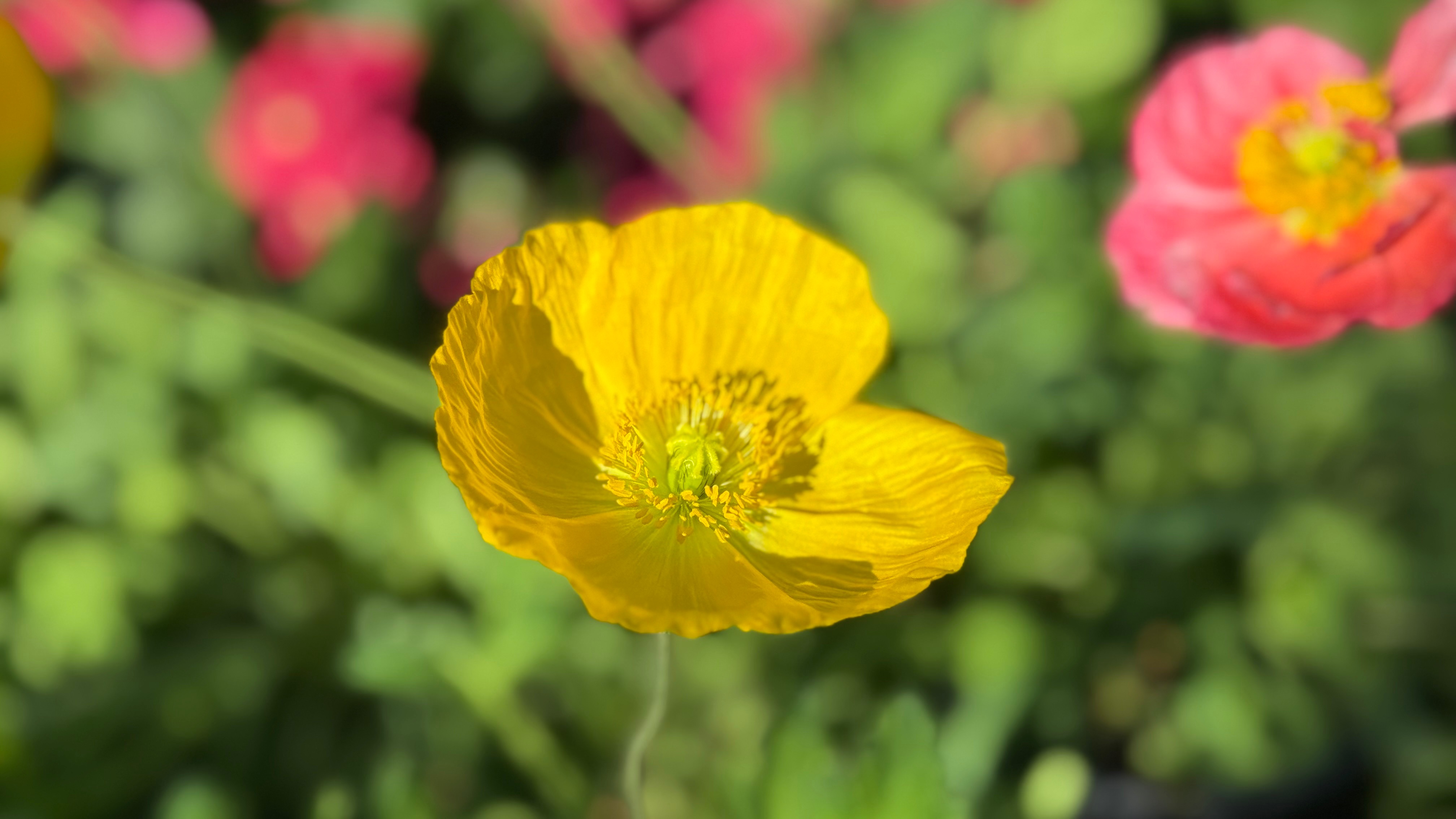 IMG_9665.jpeg