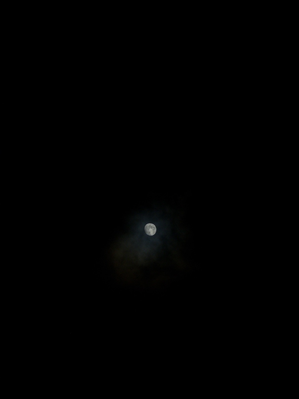 IMG_9785.jpeg