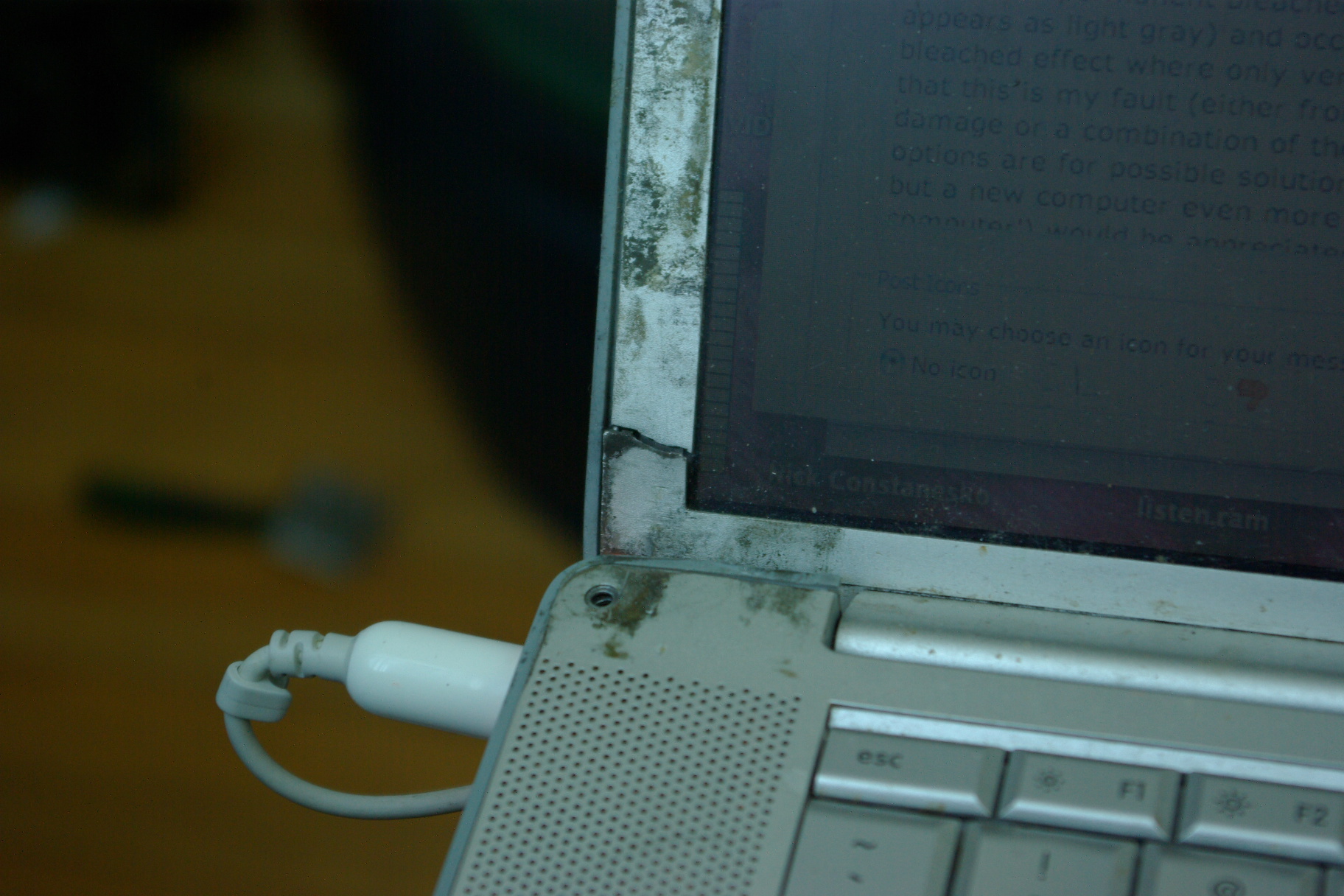 IMGP3227.JPG