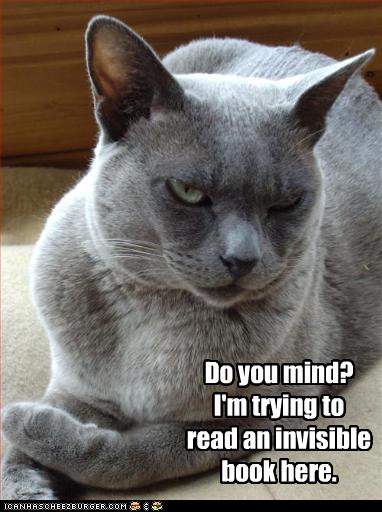 InvisibleBook-DoYouMind.jpg