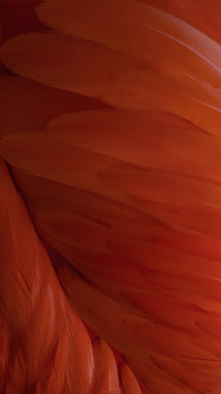 iOS 9 beta 04.png