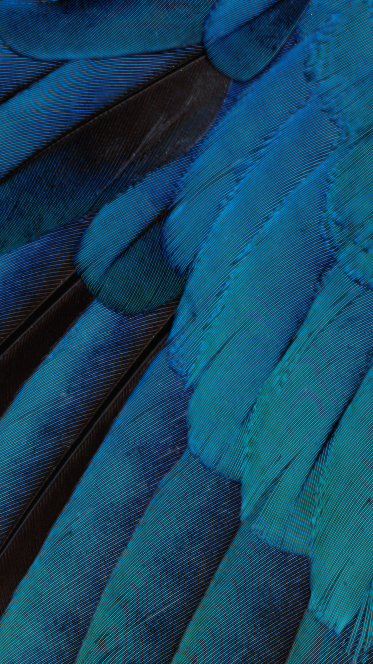 iOS 9 beta 06.png