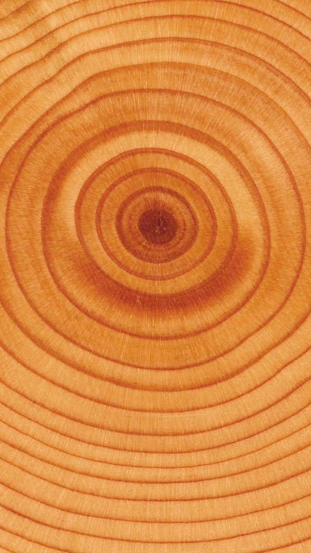 iOS6_Wallpaper_Droidviews_26.jpeg