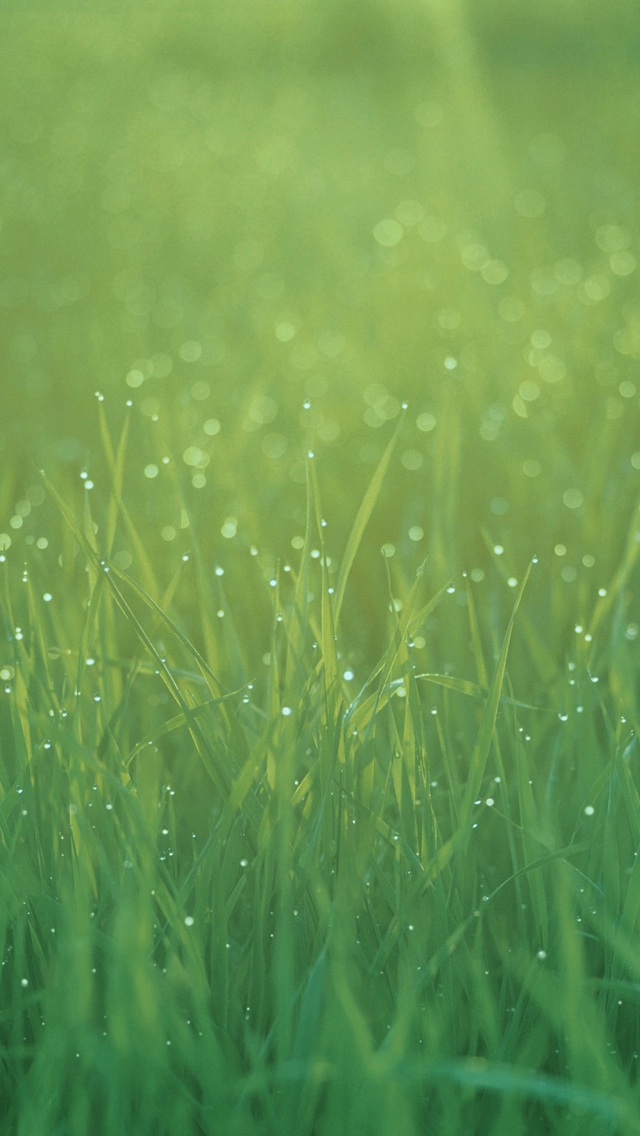 iOS6_Wallpaper_Droidviews_3.jpeg