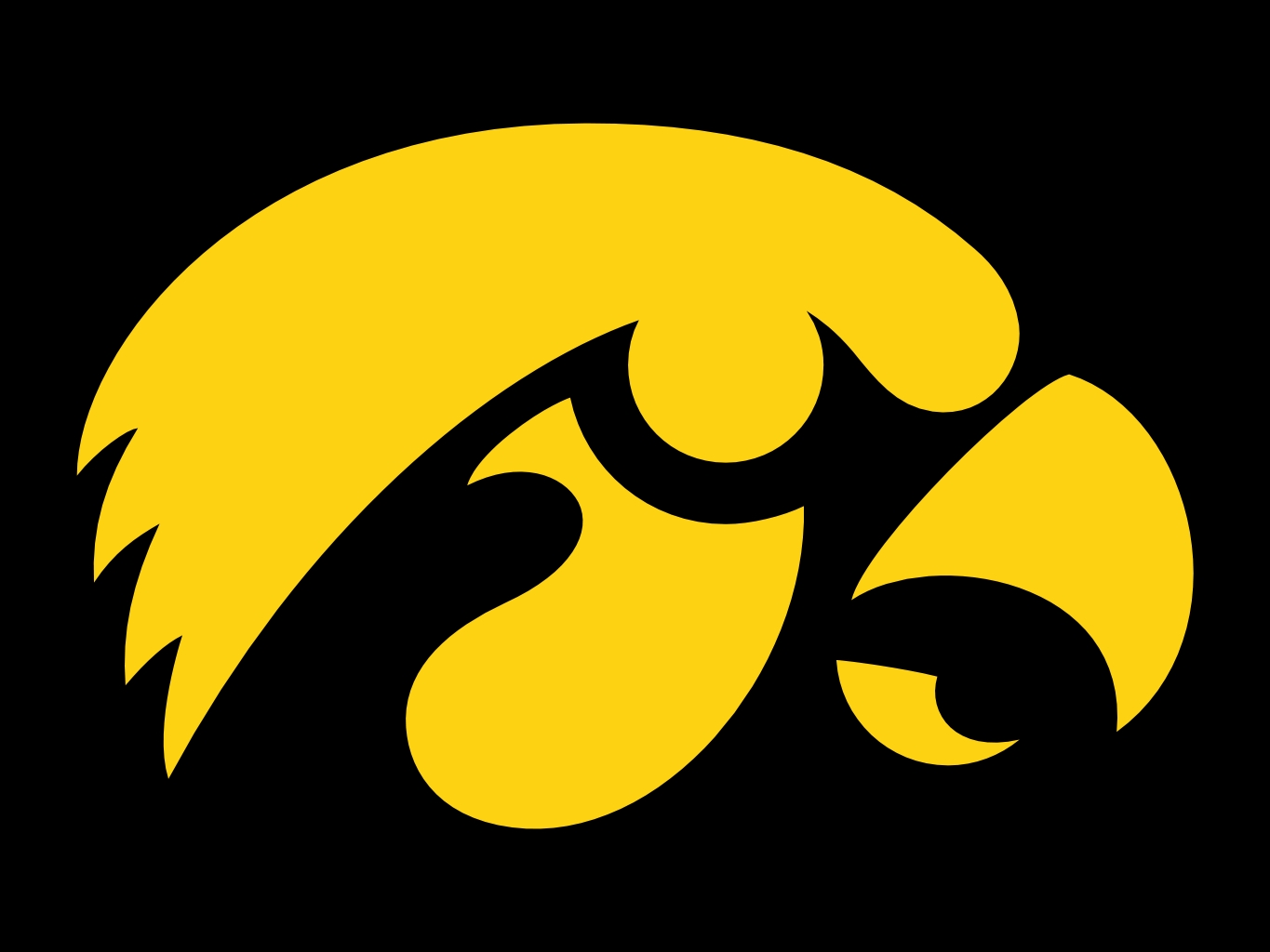 Iowa_Hawkeyes.jpg
