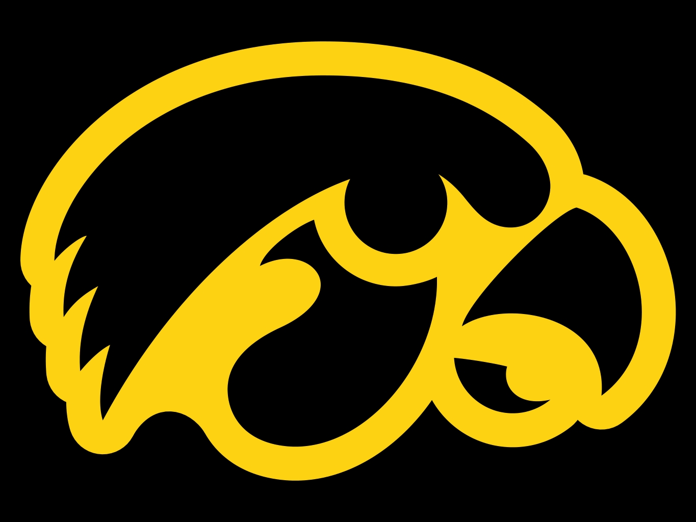 Iowa_Hawkeyes13.jpg