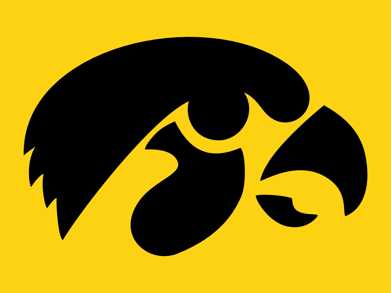 Iowa_Hawkeyes4.jpg