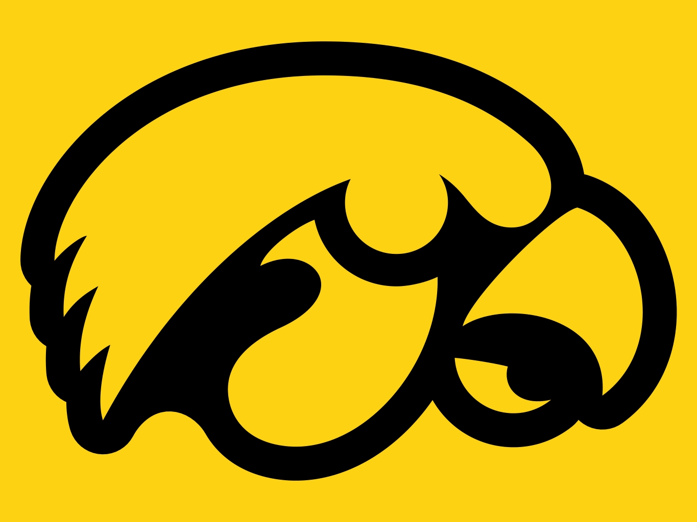 Iowa_Hawkeyes6.jpg