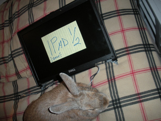 ipad 1:2.jpg