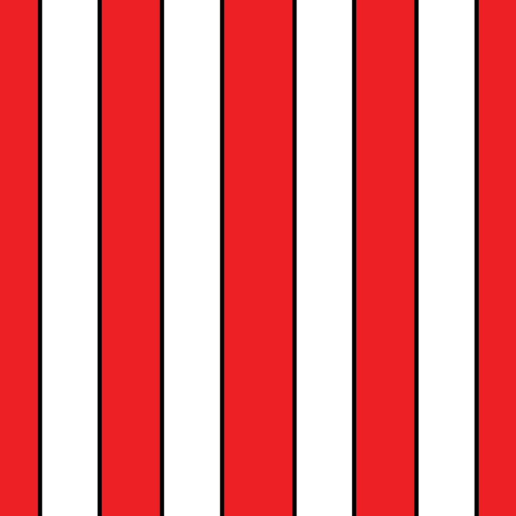 iPad 2 mini stripes.jpg