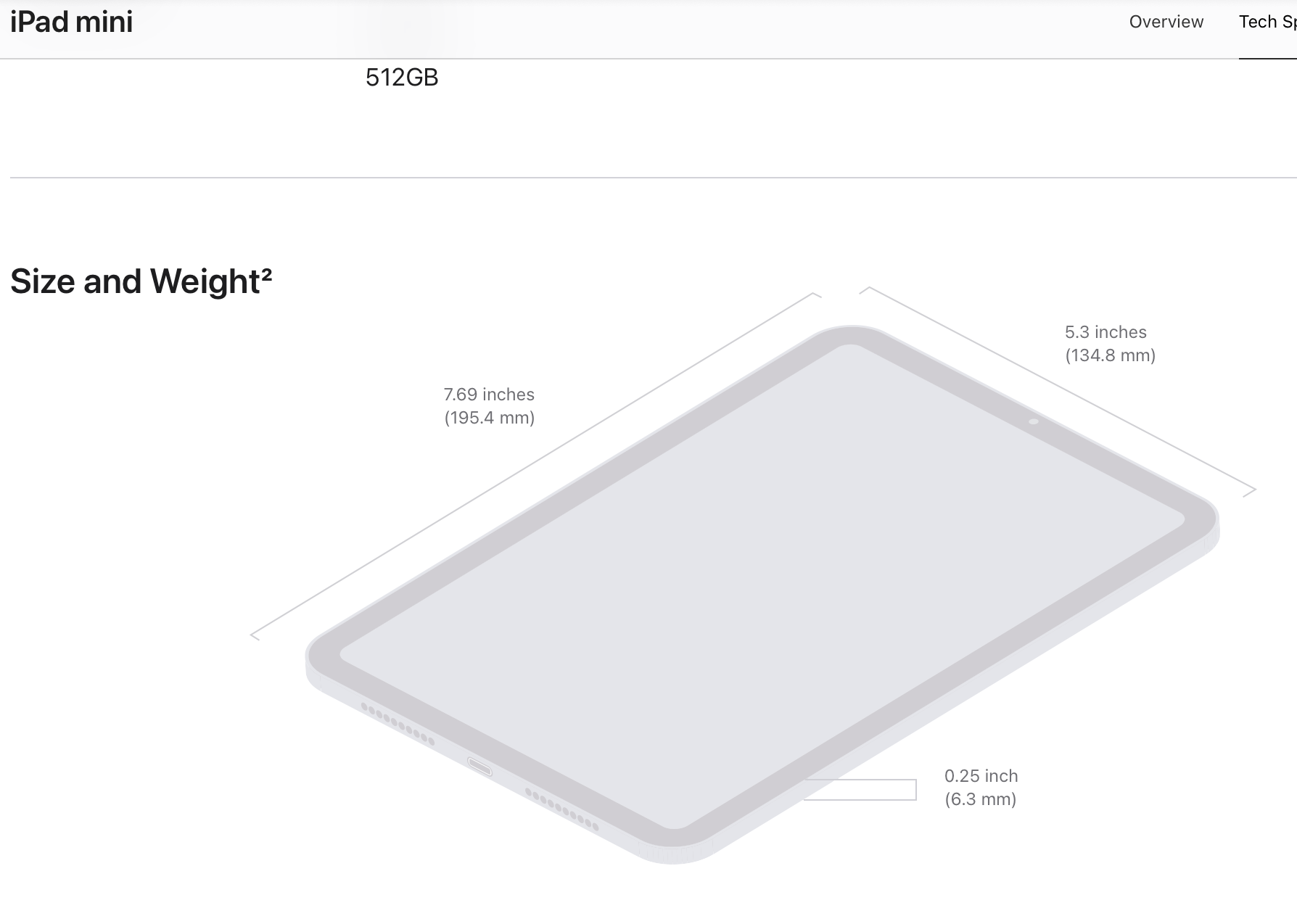 iPad Mini.png