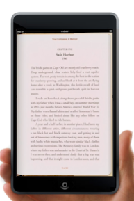 ipad mini3.png