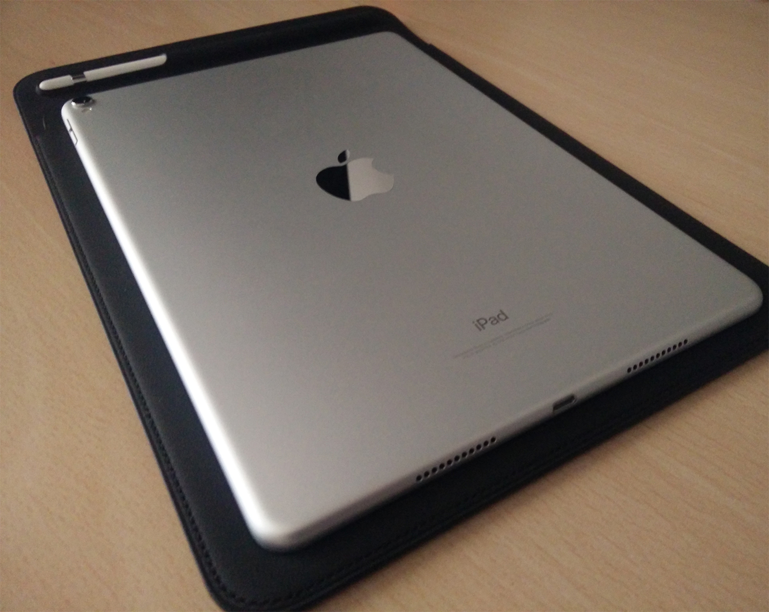 iPad Pro 10.3-sleeve-2.jpg