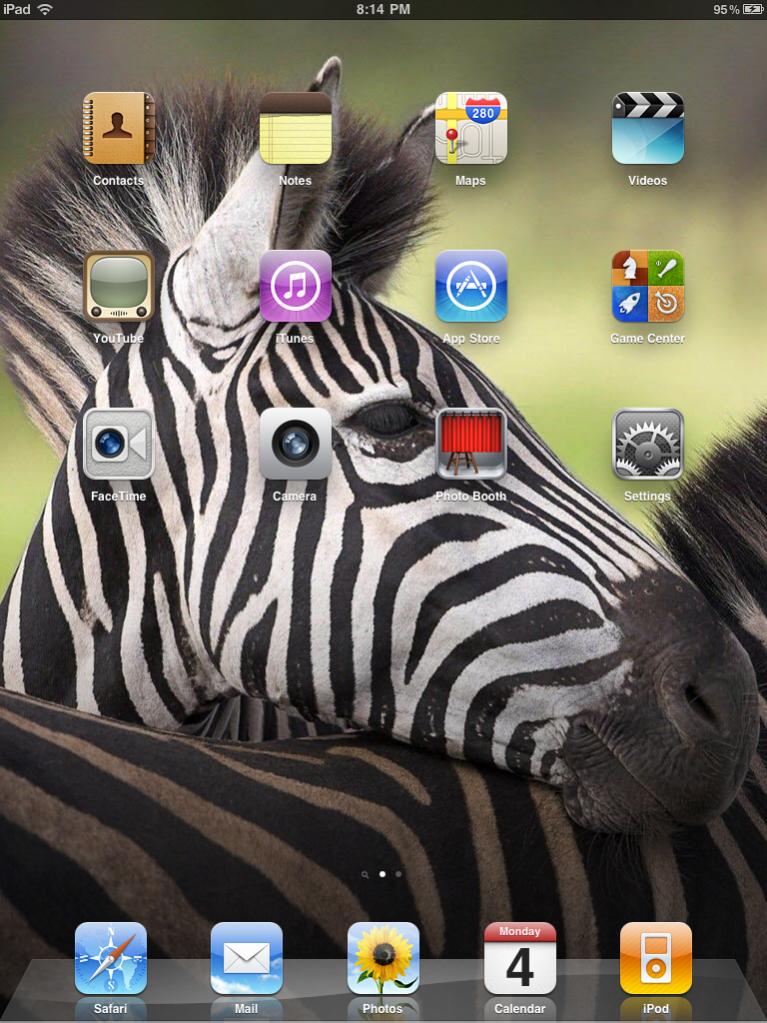 ipad1.jpg