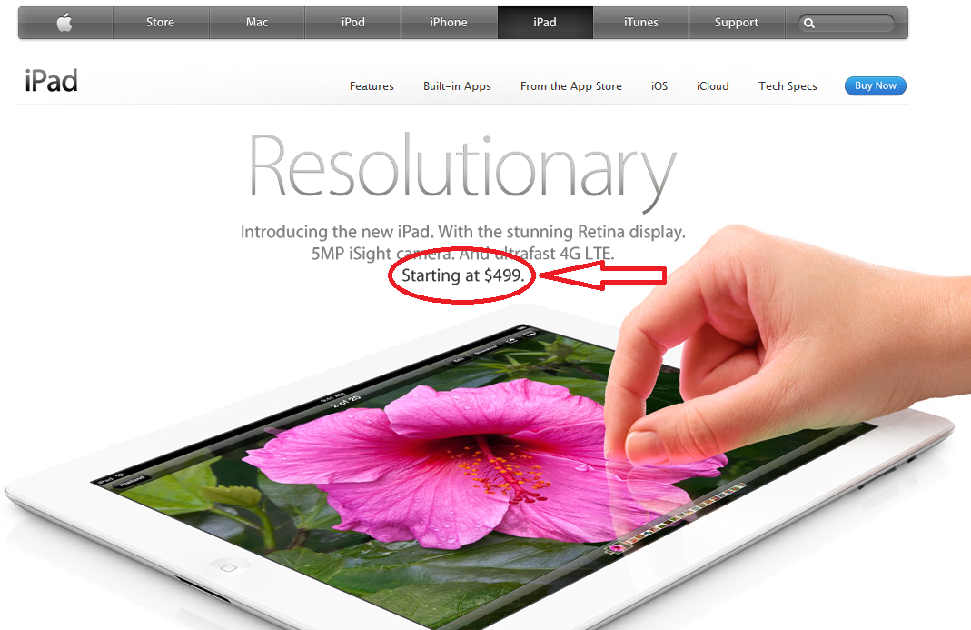 ipad3.png