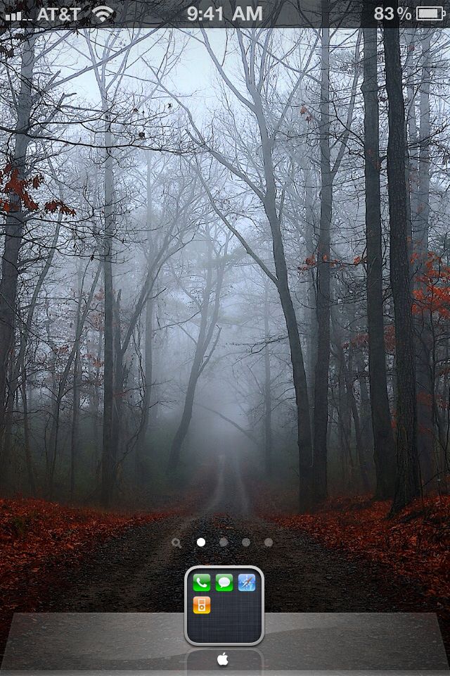 iphone%20home%20screen.jpg