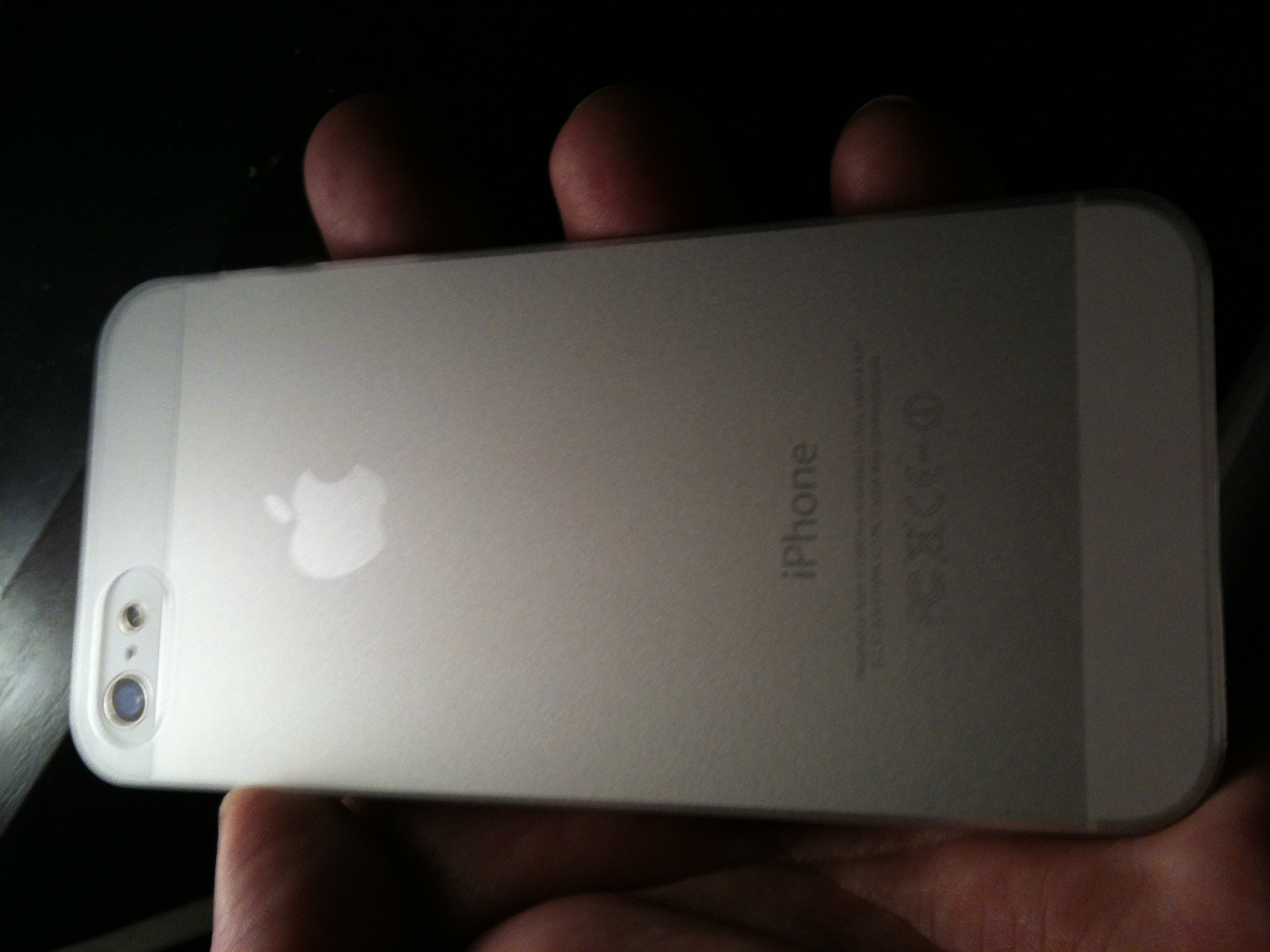 iphone 5 cover_3.JPG