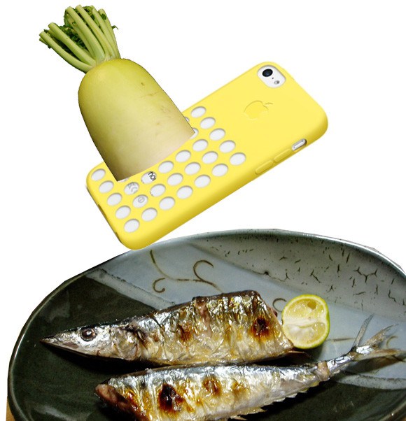 iphone-5c-case-grater.jpg
