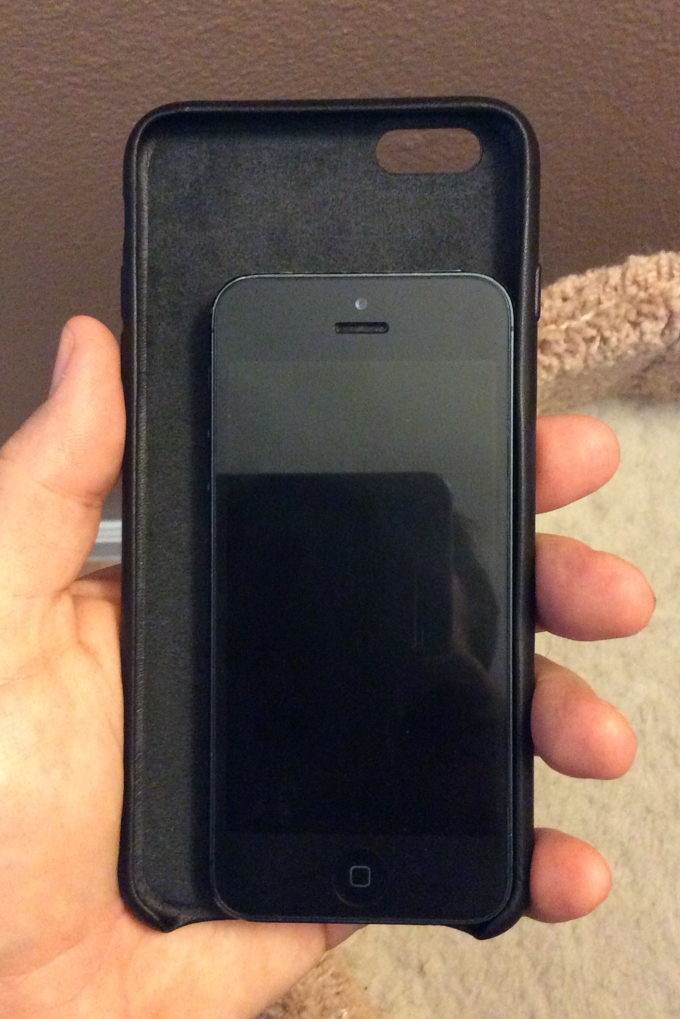 iphone 6 case.JPG