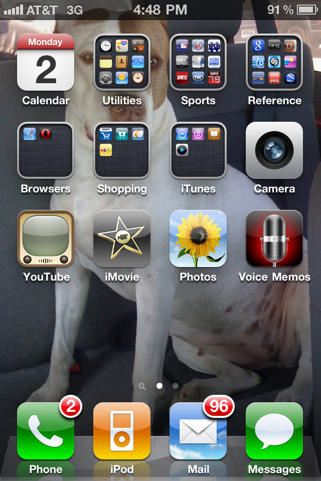 iPhone home screen.PNG