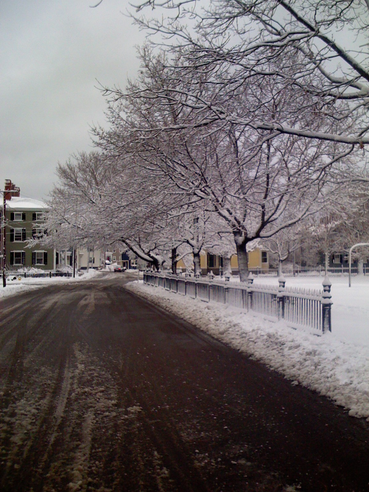 iPhone pics 002.jpg