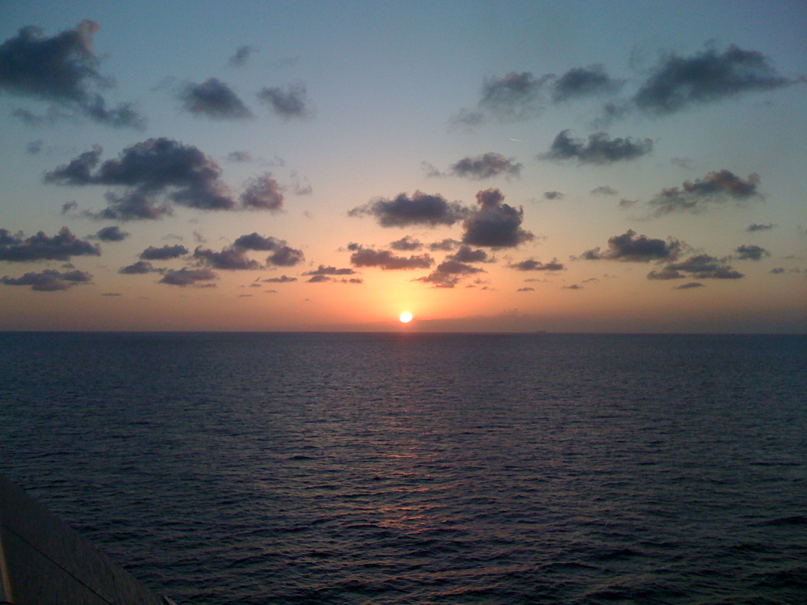 iphone pics 005.jpg