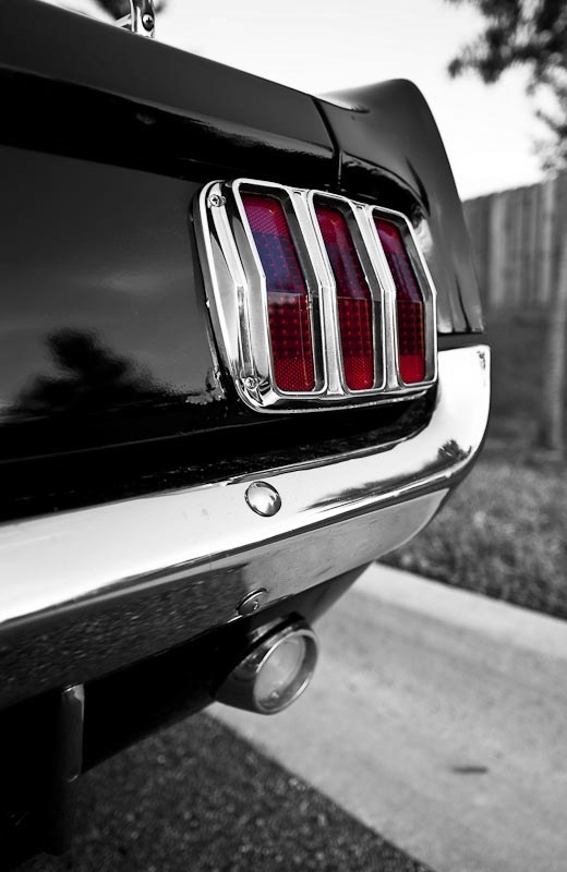 iphone pics 027.jpg