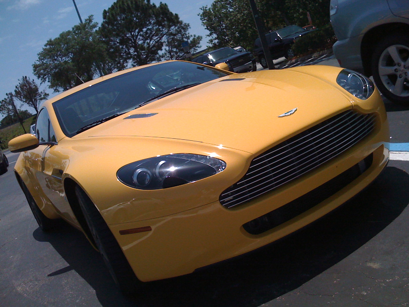 iphone pics 037.jpg
