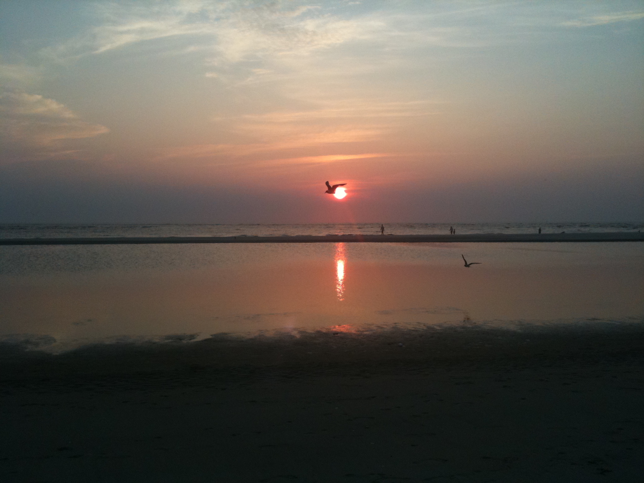 Iphone Pics from beach and Others 059.JPG