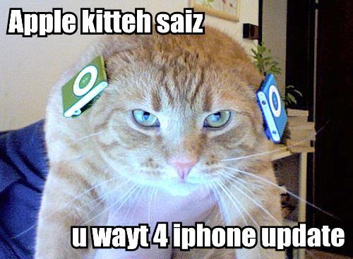 iphone_cat.JPG